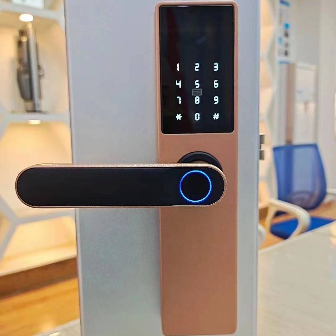 Serrure à Empreinte Digitale pour Porte en Bois avec Fonction Graffiti et Pass