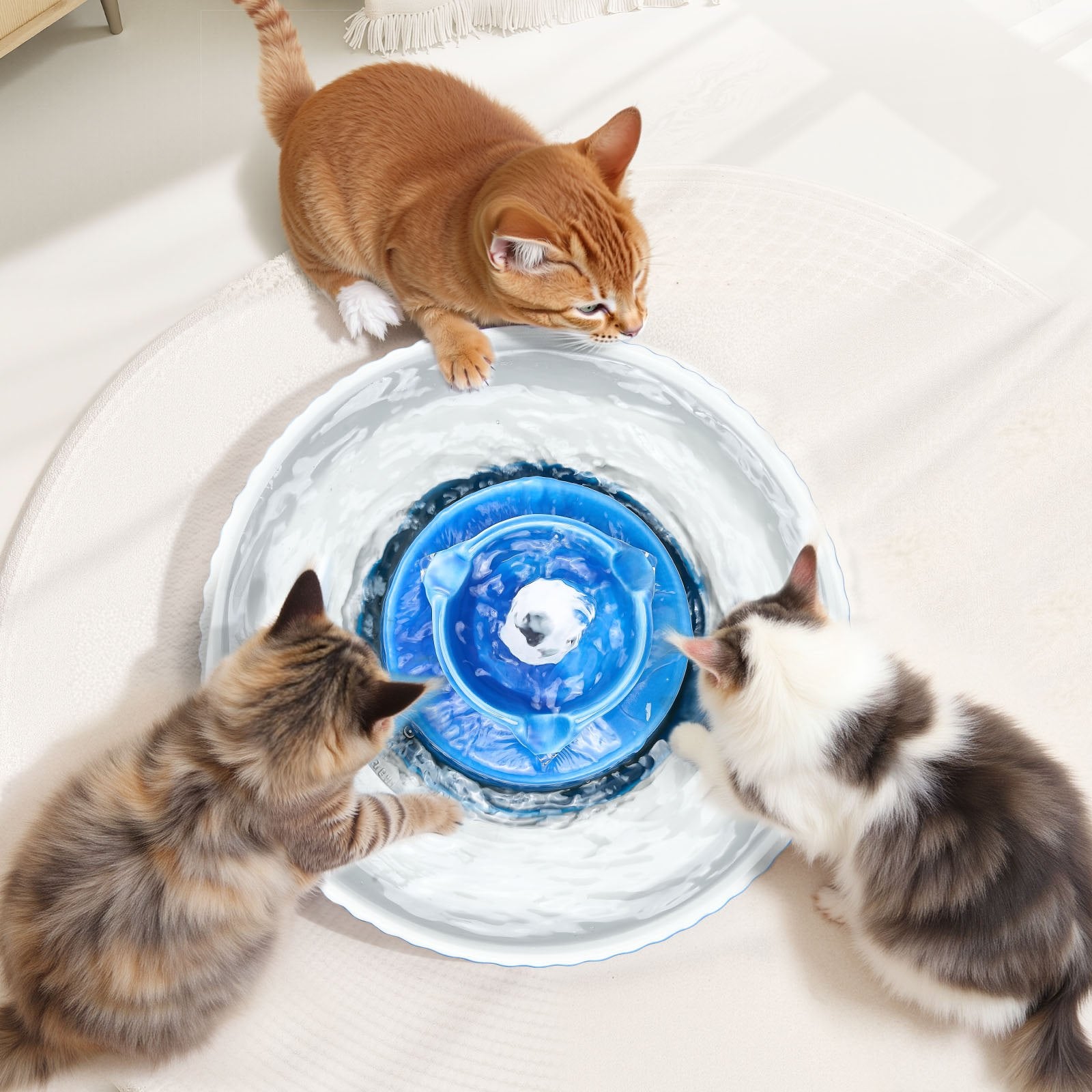 Fontaine à eau en céramique pour chat 2,1 L/71 oz Cupcake pour chats et chiens