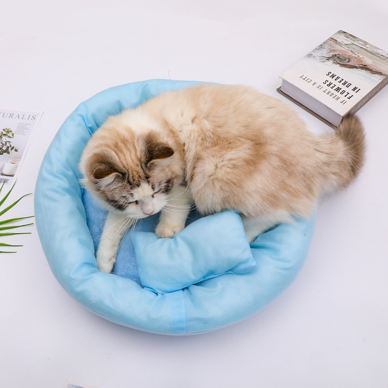 Nid d'hiver minimaliste polyvalent et chaud pour chat confort optimal