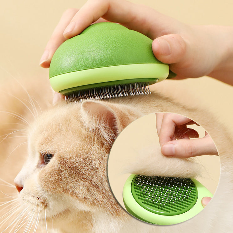 Brosse pour chat et chien enlève poils forme avocat, outil toilettage acier inox