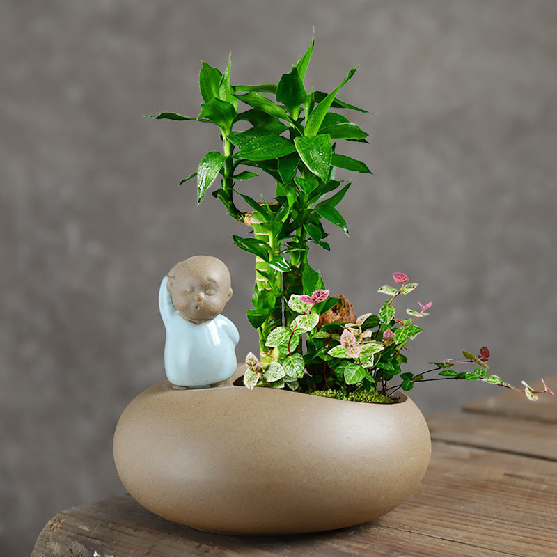 Fleur de pot de fleurs en céramique d'asperge succulente de bureau