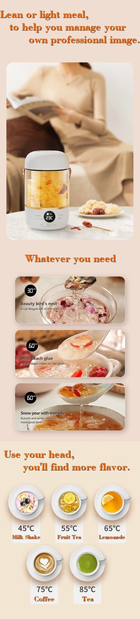 110V220V Smart Electric Stew Cooker Personal Portable Electric Stew Pot - IVOIRART.COM