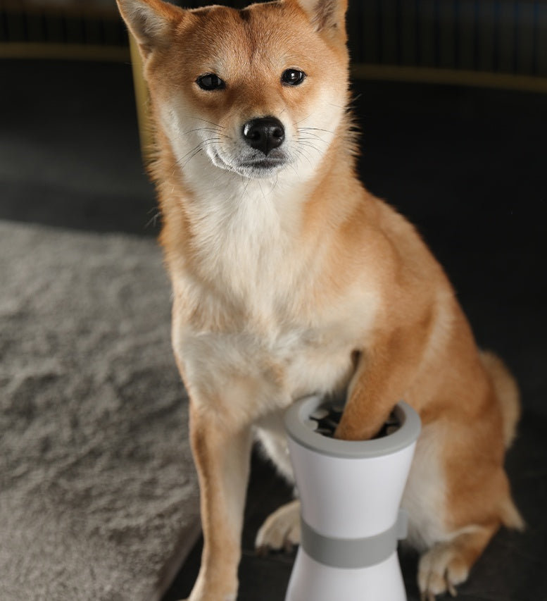 Gobelets électriques pour le lavage des pattes des animaux de compagnie haute technologie