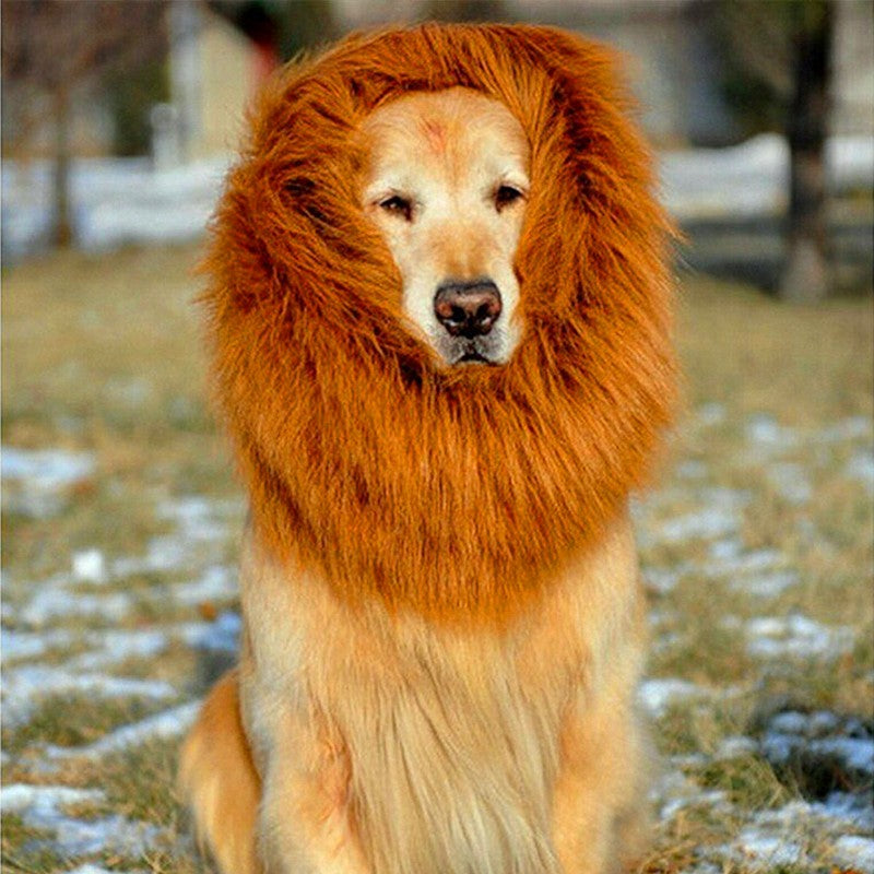 Perruque Crinière pour Grands Chiens - Taille Adaptée à un Tour de Tête < 74 cm