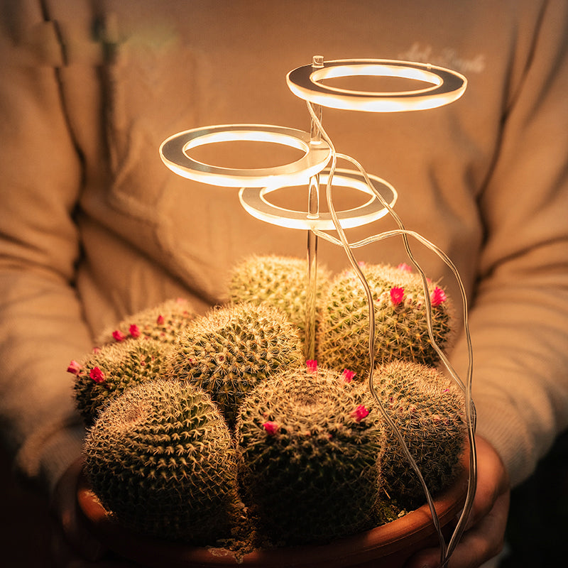 Lampe de Croissance LED Spectre Complet USB Phyto pour Éclairage Intérieur