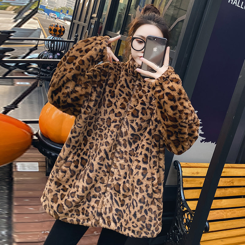 fcf844b9d1b6970bbead9d078e1c6b5