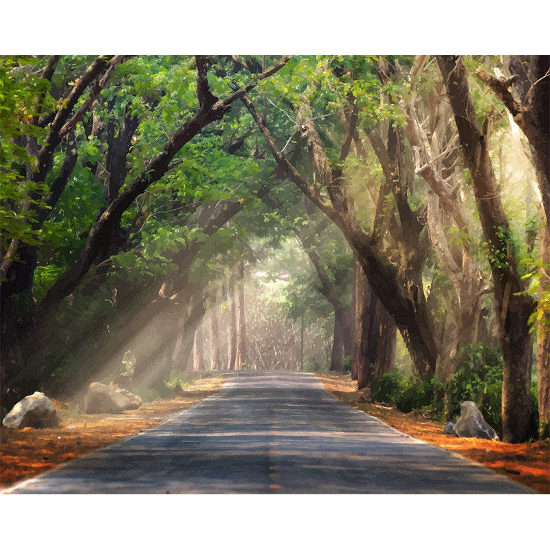 Peinture Diamant 5D Paysage Peinture Décorative