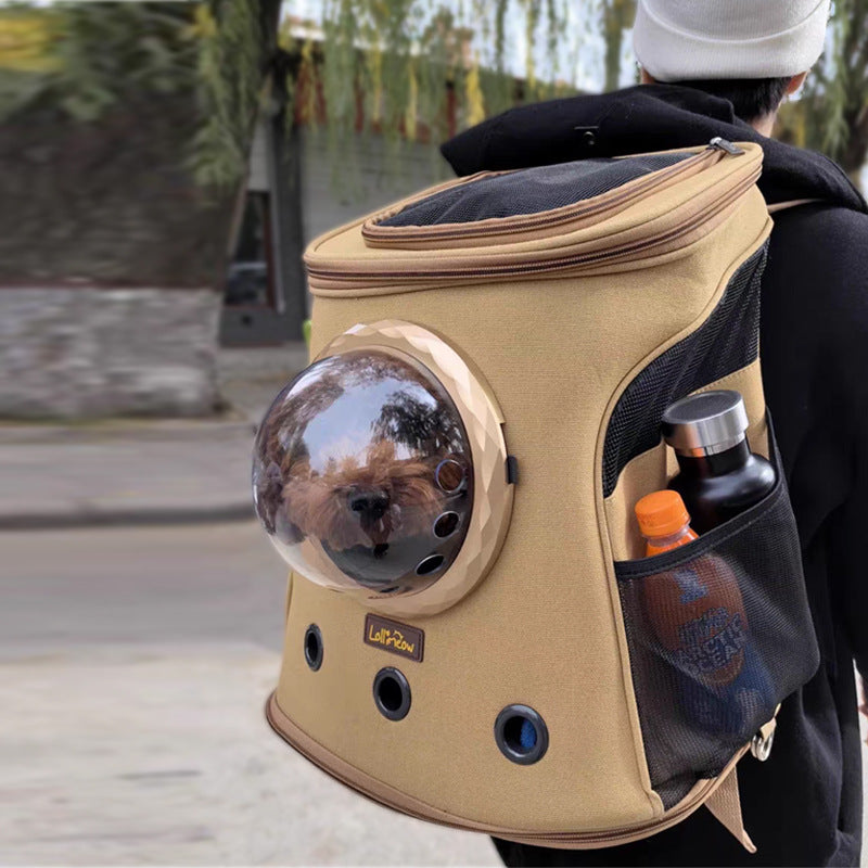 Sac à dos de transport pour chats et chiens de taille moyenne, portable et pratique