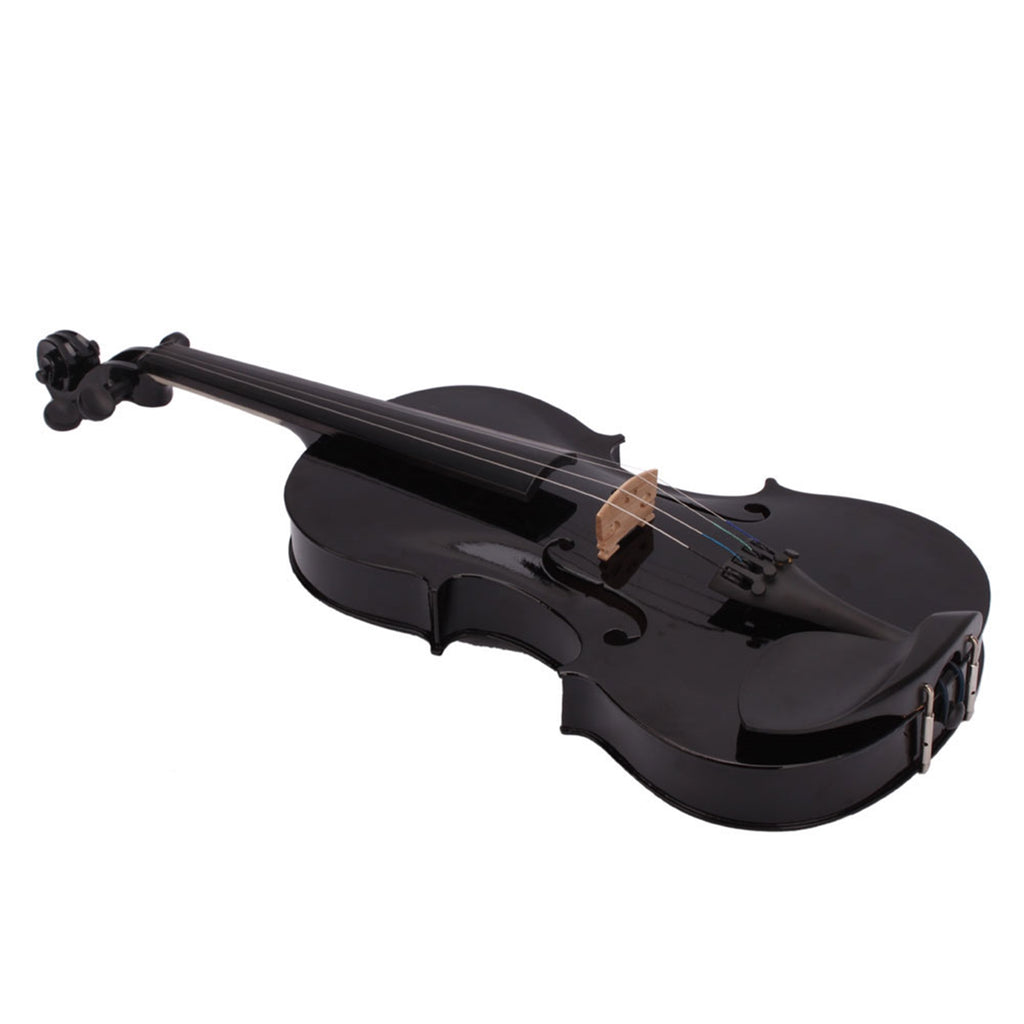 Black Acoustic Violin