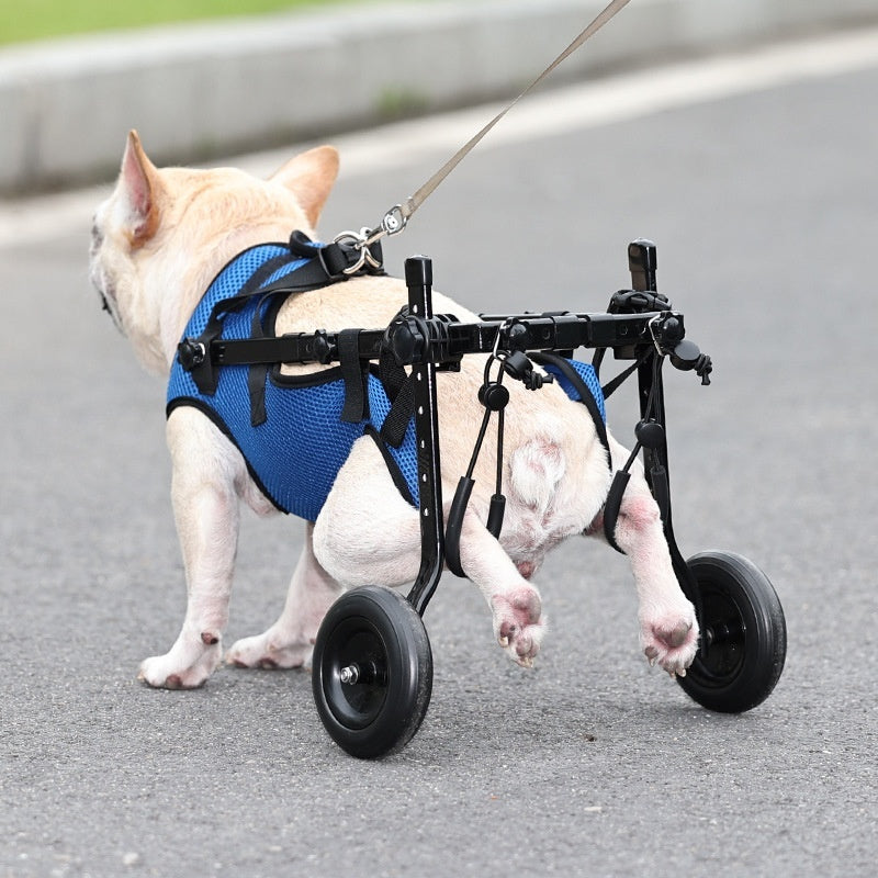 Fauteuil roulant pour chien handicapé, scooter de mobilité pour animal bleu