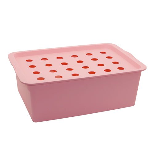 24 Holes Plant Site Hydroponic Kit Garden Pots Planters Seed - IVOIRART.COM
