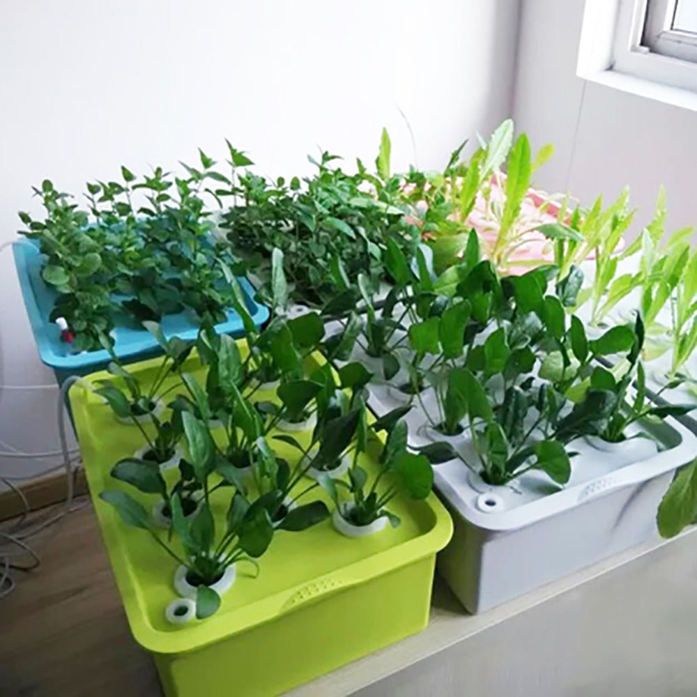 24 Holes Plant Site Hydroponic Kit Garden Pots Planters Seed - IVOIRART.COM