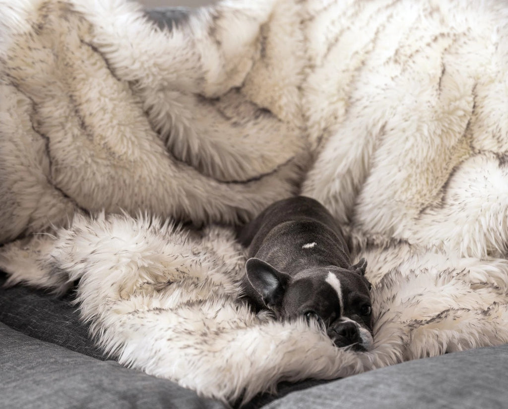 1453cfe0b743770375652ff6fe7b3c42