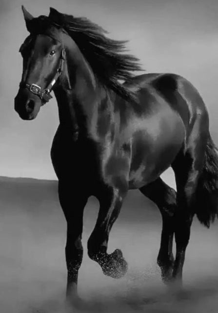 23ca98ff5b0f157b68b1fa18e3898ec1