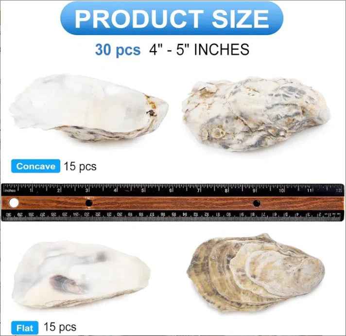 30pcs Coquilles d'Huîtres avec Perles en Vrac Coquilles d'Huîtres Naturelles pour Loisirs Créatifs Décorations de Noël - IVOIRART.COM