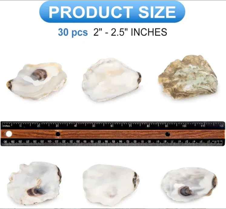 30pcs Coquilles d'Huîtres avec Perles en Vrac Coquilles d'Huîtres Naturelles pour Loisirs Créatifs Décorations de Noël - IVOIRART.COM