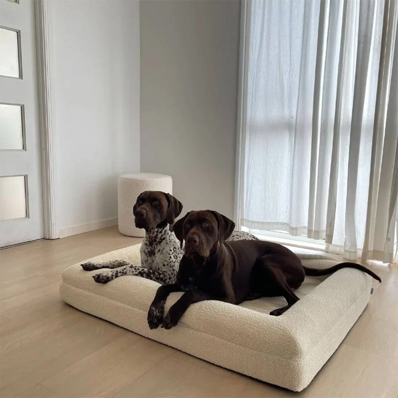 Lit pour chien haut de gamme avec mousse à mémoire, étanche et lavable, confortable