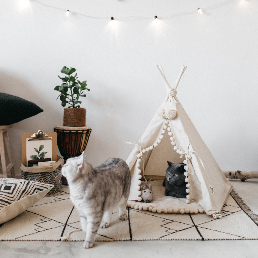 Tente-lit pour animaux confortable et pratique, idéale pour chats et petits chiens