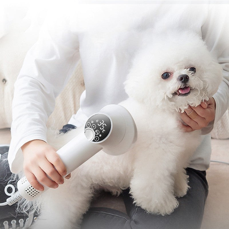 Sèche-cheveux intelligent pour animaux Poils Chien Golden Retriever Chat