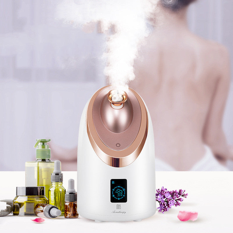 Inhalateur Facial Nano Vapeur Hydratant Instrument Pulvérisateur Chaud Foyer
