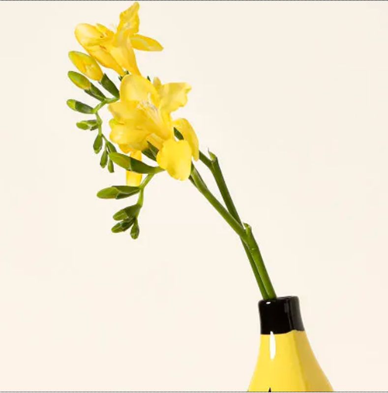 Vase Banane Simple – Arrangement floral et Décoration d'intérieur