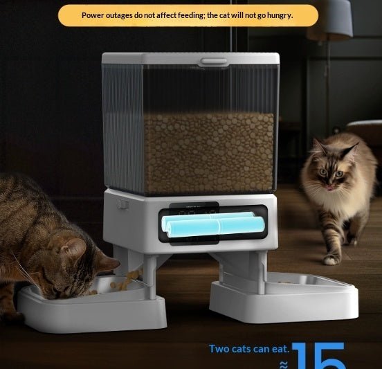 Automatic Cat Feeder With Dual Bowls Visual Timer-Controlled Portion-Adjustable Smart Pet Feeder For Cat Food - IVOIRART.COM