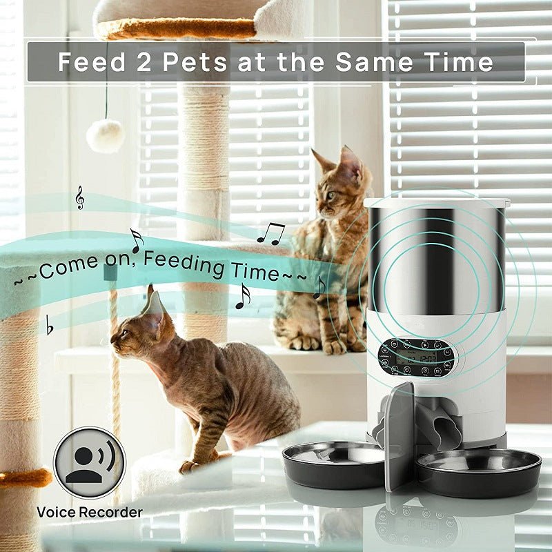 Automatic chqiue pet feeder - IVOIRART.COM