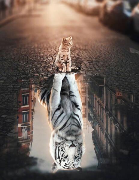 Affiche de peinture sur toile sans cadre décoration murale pour la maison dans le grenier