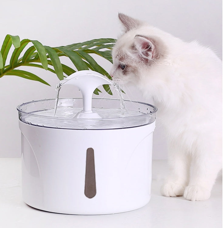 Distributeur d'eau intelligent pour animaux avec filtre circulant automatique