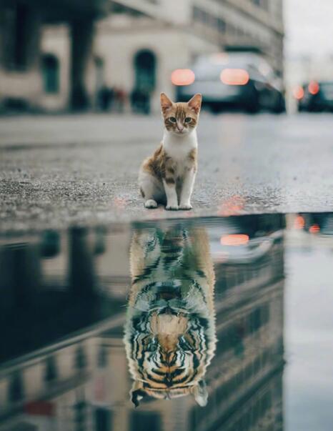 Affiche de peinture sur toile sans cadre décoration murale pour la maison dans le grenier