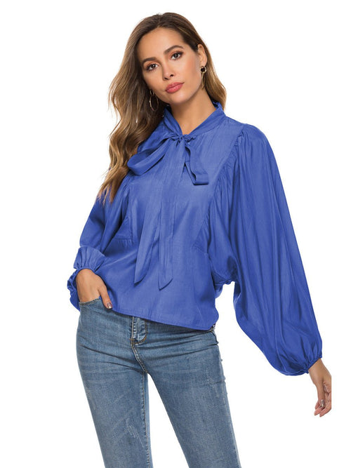 Blouse à manches longues régulières en dentelle mode avec col en V élégante - IVOIRART.COM