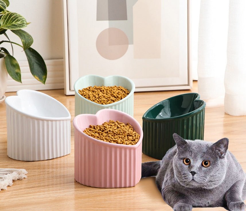 Bol en céramique pour animaux avec bord incliné, pratique et durable pour usage quotidien intérieur - IVOIRART.COM