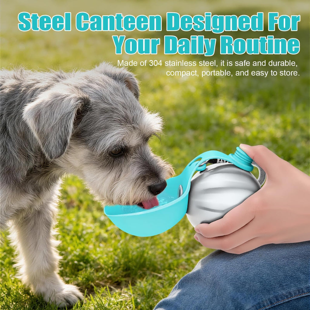 Bouteille d'eau portable 285ml en acier inoxydable avec bol intégré anti - fuite - IVOIRART.COM