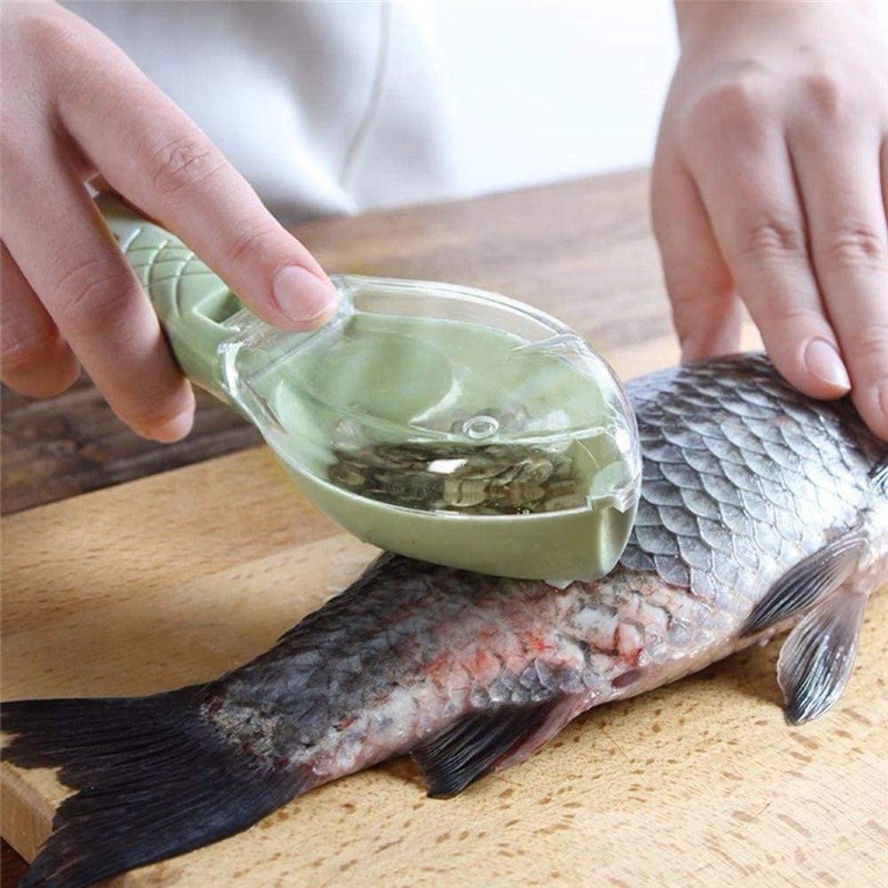 Brosse Écailleur pour Poisson avec Nettoyage Rapide, Grattoir Peau et Couteau - IVOIRART.COM