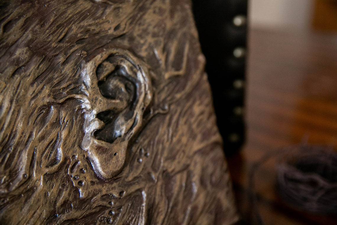 Accessoires de décoration de livre de mode domestique