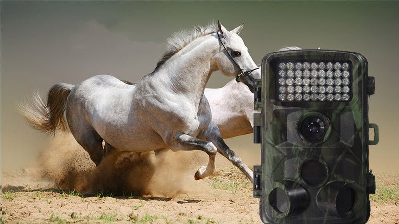 Caméra de chasse sauvage HD avec zoom optique 12x, écran 2 pouces, stockage MicroSD - IVOIRART.COM