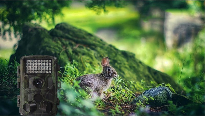 Caméra de chasse sauvage HD avec zoom optique 12x, écran 2 pouces, stockage MicroSD - IVOIRART.COM