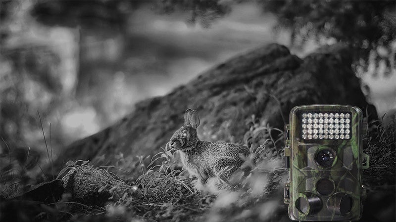 Caméra de chasse sauvage HD avec zoom optique 12x, écran 2 pouces, stockage MicroSD - IVOIRART.COM