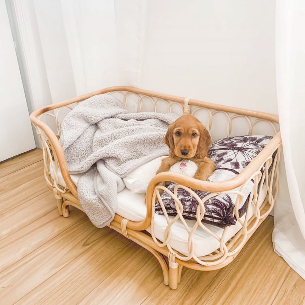 Canapé pour Animaux en Rotin Tissé à la Main, Lit Confortable pour Chiens - IVOIRART.COM