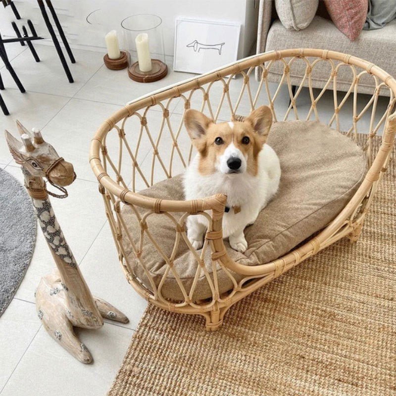 Canapé pour Animaux en Rotin Tissé à la Main, Lit Confortable pour Chiens - IVOIRART.COM