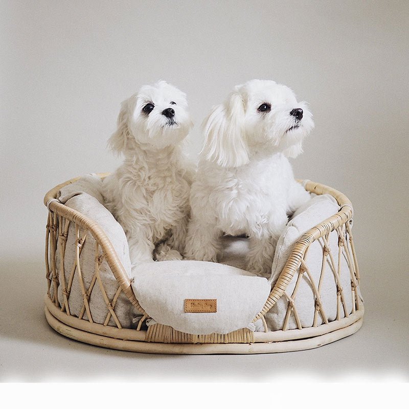 Canapé pour Animaux en Rotin Tissé à la Main, Lit Confortable pour Chiens - IVOIRART.COM