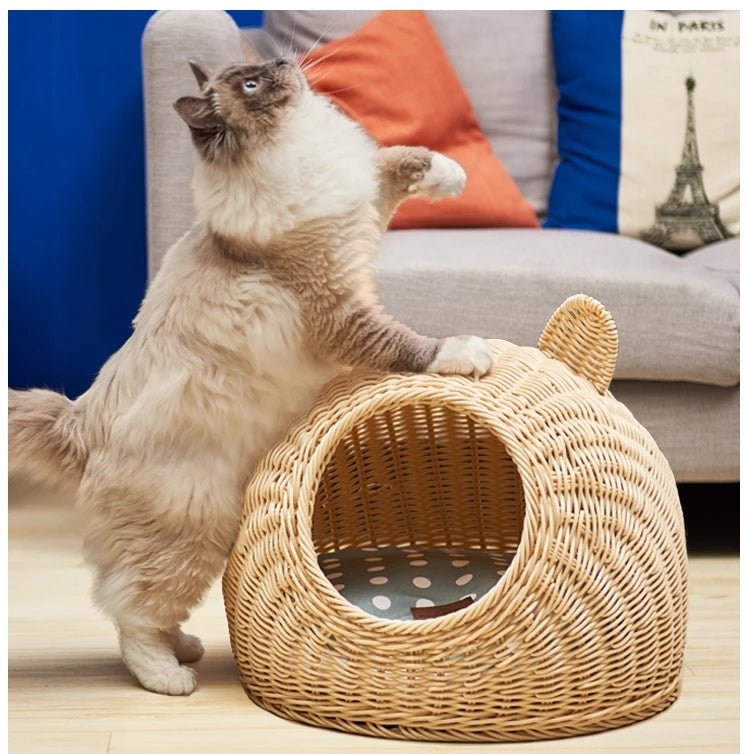 Cat nest rattan woven for all seasons, removable and washable - IVOIRART.COM