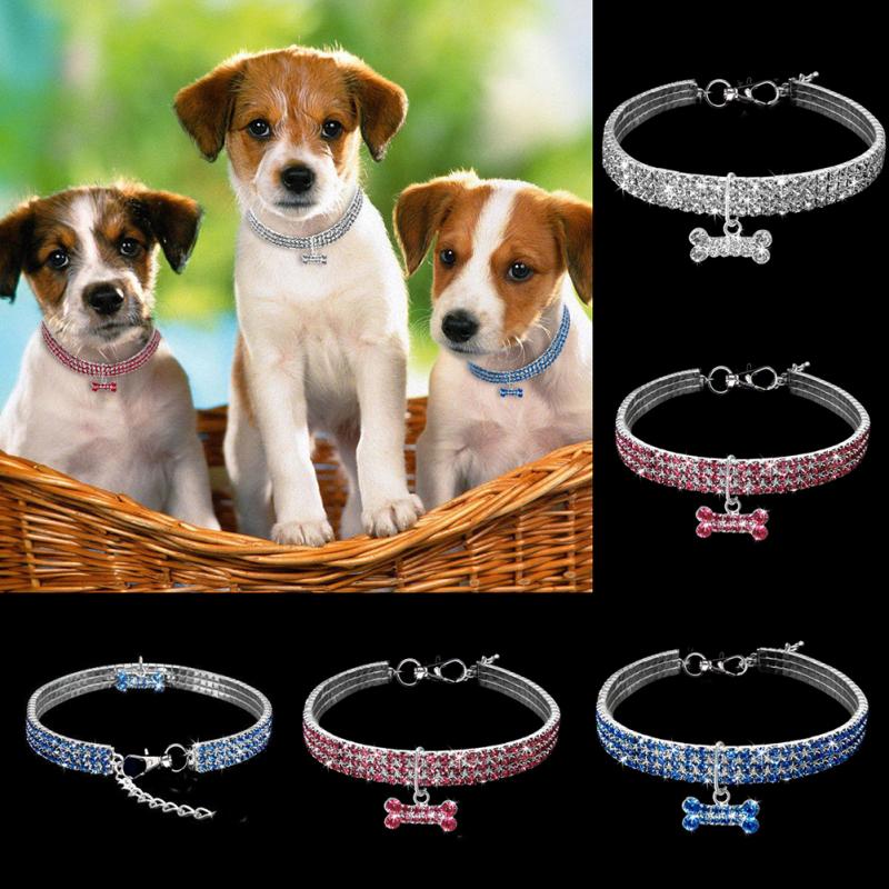 Collier Scintillant en Strass et Cristal pour Chiens et Chats Petits et Moyens - IVOIRART.COM