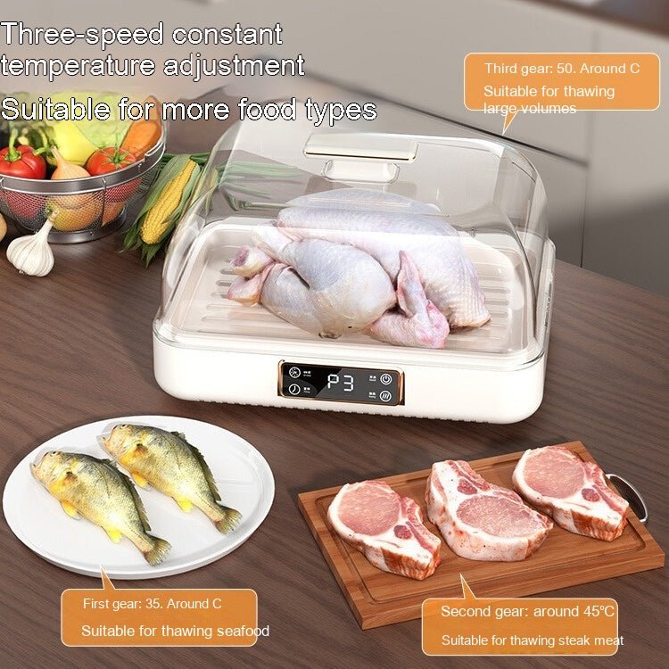 Constant Temperature Thawing Artifact Meat Steak Heat Transfer Plate Household - IVOIRART.COM