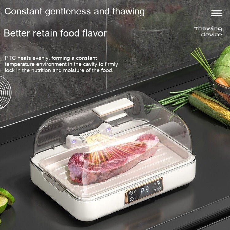 Constant Temperature Thawing Artifact Meat Steak Heat Transfer Plate Household - IVOIRART.COM