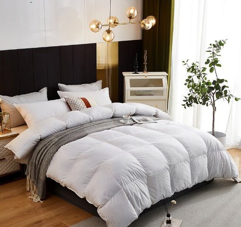 Couette en duvet d'oie haut de gamme en coton éclatant, cadeau idéal hiver - IVOIRART.COM