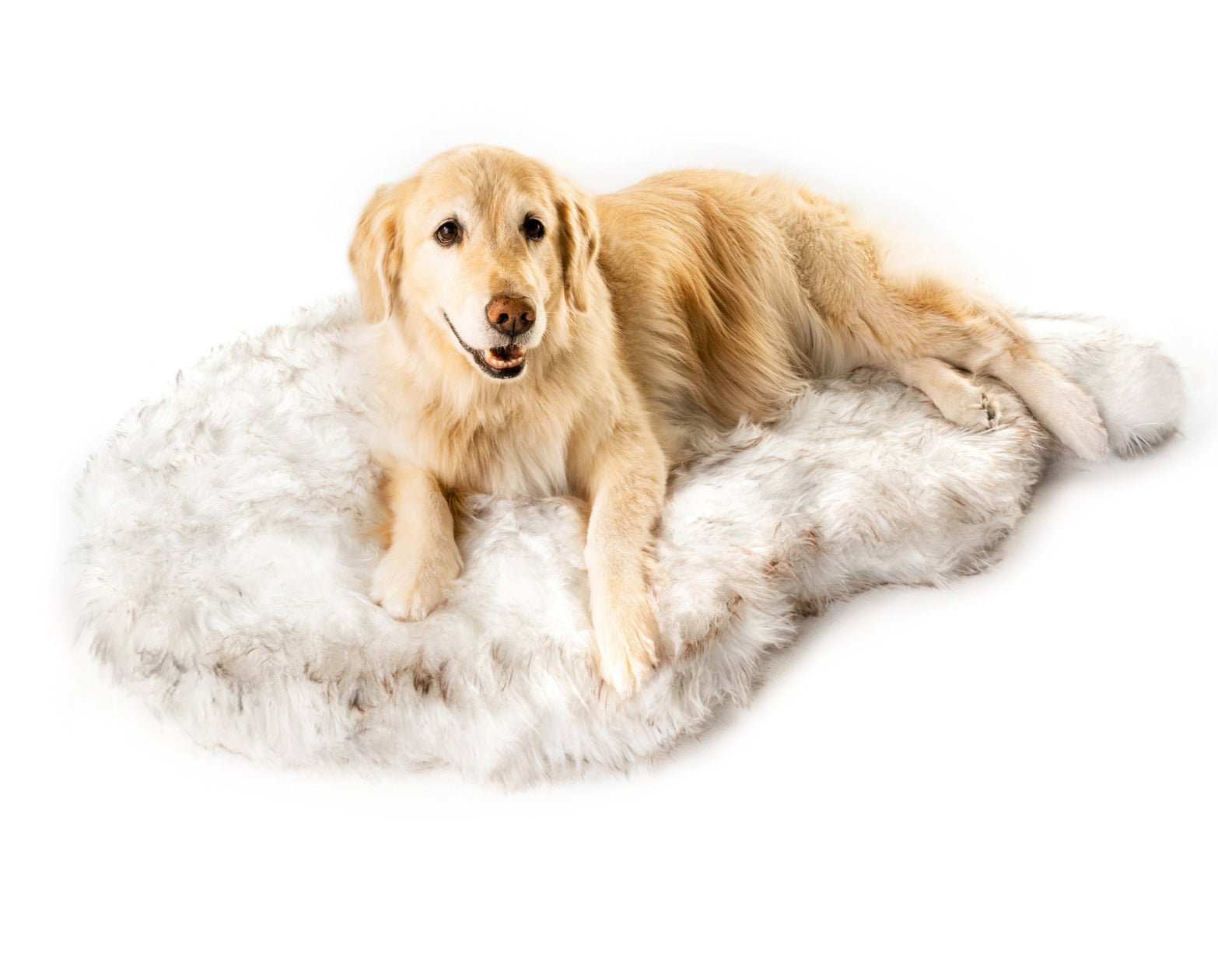 Couverture Pelucheuse Longue et Douce, Chaude, Confortable pour Animaux de Compagnie - IVOIRART.COM