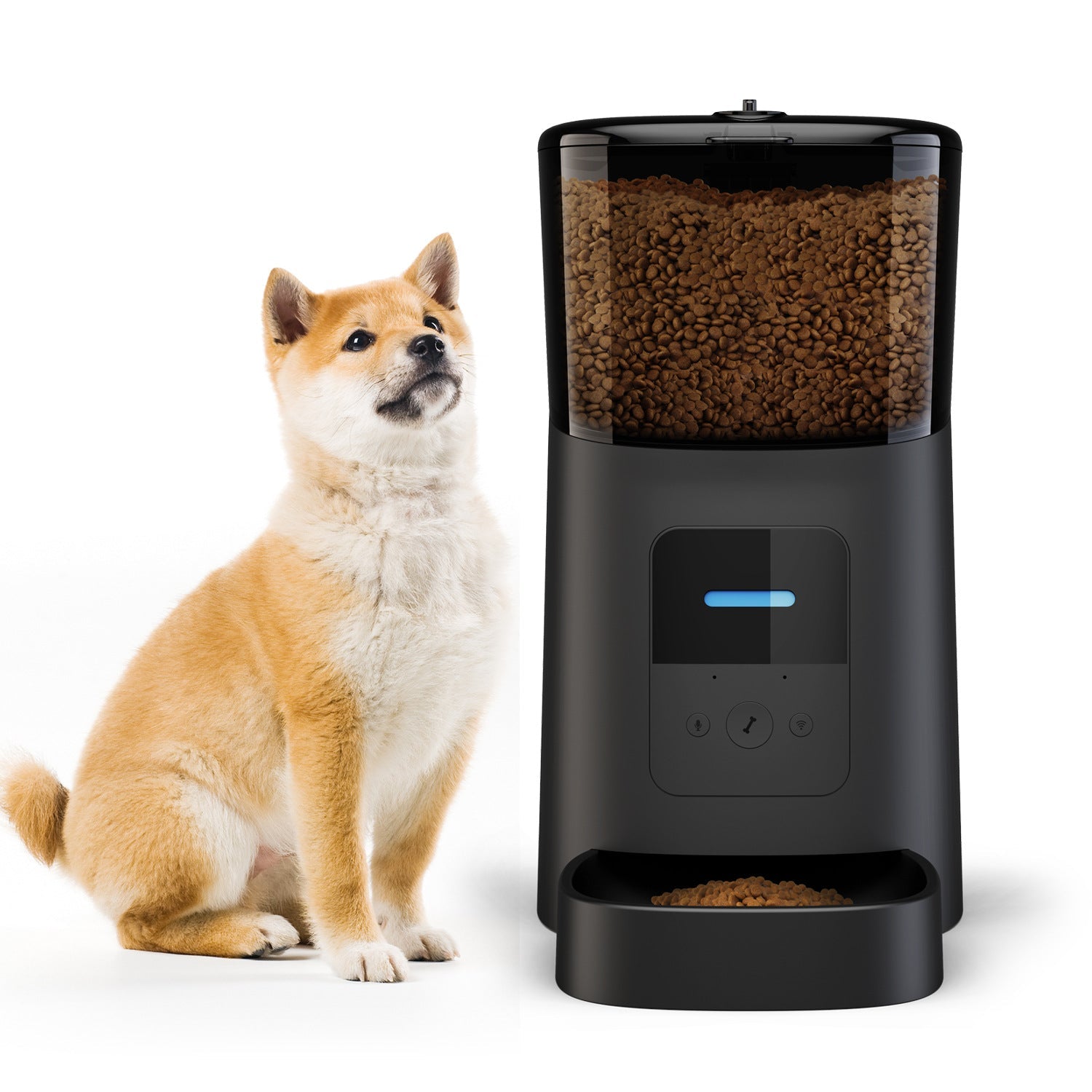 Distributeur automatique de nourriture pour animaux, design moderne et facile à nettoyer - IVOIRART.COM