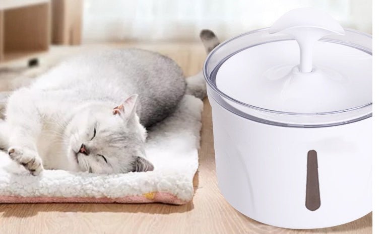 Distributeur d'eau intelligent pour animaux avec filtre circulant automatique - IVOIRART.COM
