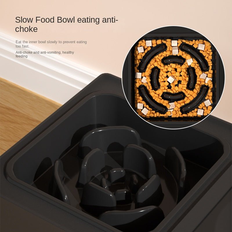 Double Gamelles pour Chiens avec Support en Acier Inoxydable, Hauteur Ajustable, Grand Bol Élevé pour Nourriture et Eau, Accessoires pour Animaux - IVOIRART.COM